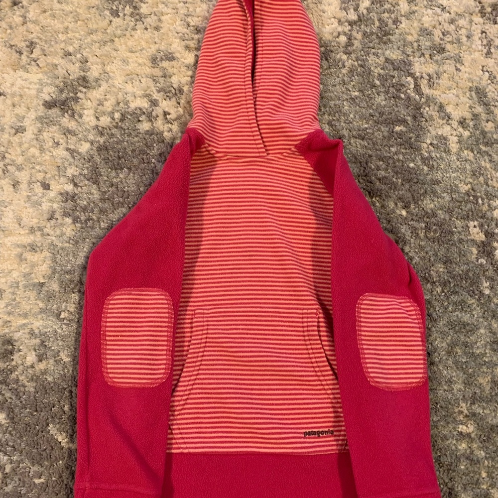 Pink Striped Patagonia Hoodie